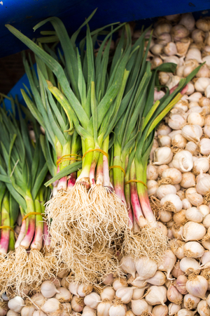Bunch of garlic bulbs at the market placeの写真素材