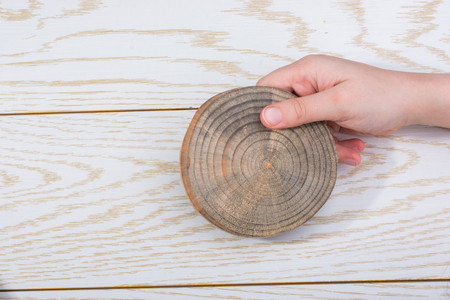small piece of cut wood logs used for  wood texture backgroundの写真素材