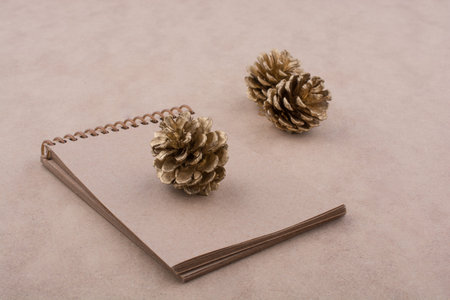 Pine cones and a notebook on a brown background
