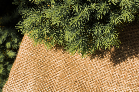 Green leaves placed on linen canvasの写真素材