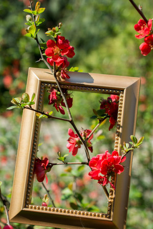 Tree bloom blossom beautiful flowers in wooden frame