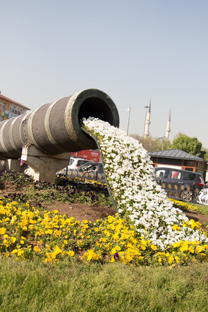 Flowers running out of a pipe in a gardenの写真素材