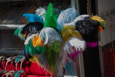 Tender beautiful bird feathers and patternの写真素材