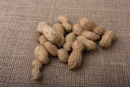 Peanuts with shell on linen canvas backgroundの写真素材