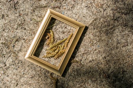 Blank wooden picture  frame on a backgroundの写真素材