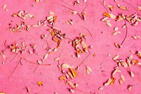 Texture background of autumn season with some of its elementsの写真素材