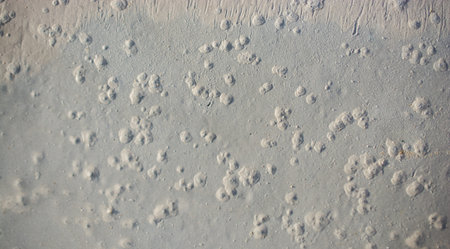 Patterns on a freshly poured concrete surface