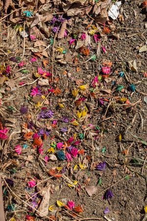 Dyed colorful dry flowers on the soil groundの写真素材