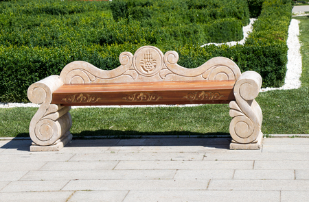 Beautiful colorful roses in a rose gardenの写真素材