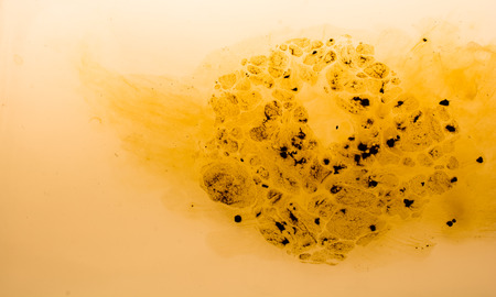 Coffe slowly dissolve in the hot waterの写真素材