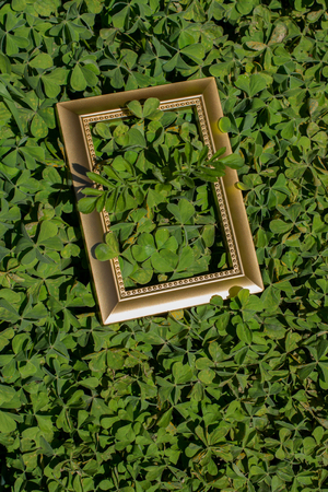 Blank wooden picture  frame ongreen grass backgroundの写真素材