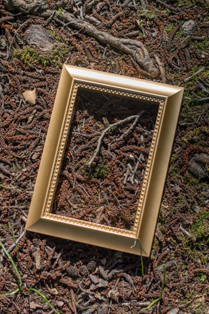 Blank wooden picture  frame on a backgroundの写真素材