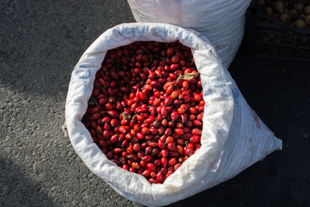 Wild fruit of rosehip for  making rosehip teaの写真素材