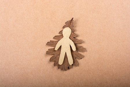 Paper man shape placed  on a dry leaf in viewの写真素材
