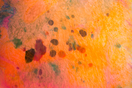 Traditional Ottoman Turkish marbling art patterns as abstract backgroundの写真素材