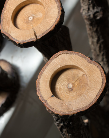 small piece of cut wood logs used for  wood texture backgroundの写真素材