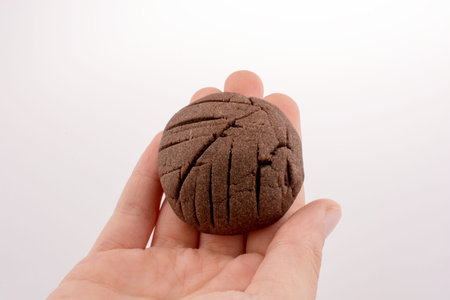 Hand holding a chocolate cookie on a white background