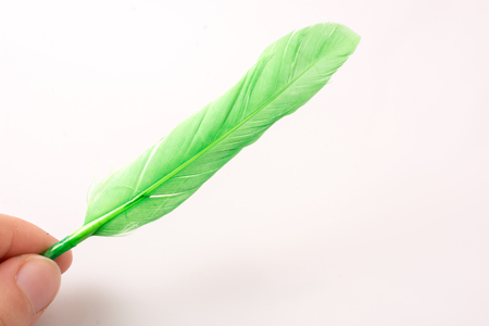 Bright colored feather in hand on white backgroundの写真素材