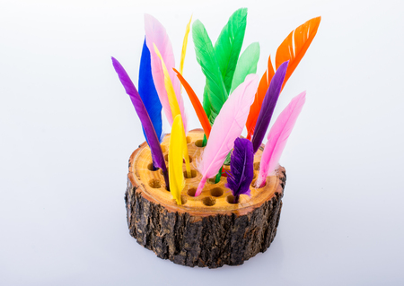 Collection of bright colored feathers on a wooden logの写真素材