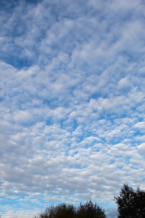 White color clouds found in the  blue sky background