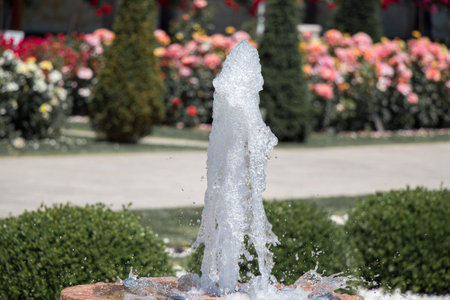 Water gushing off the fountain in the rose gardenの写真素材
