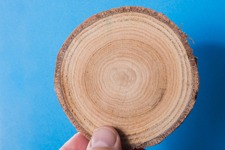 small piece of cut wood log used for  wood texture backgroundの写真素材