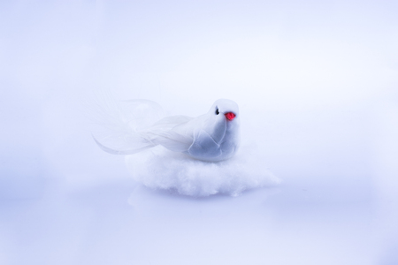 Little toy model bird of white color in viewの写真素材
