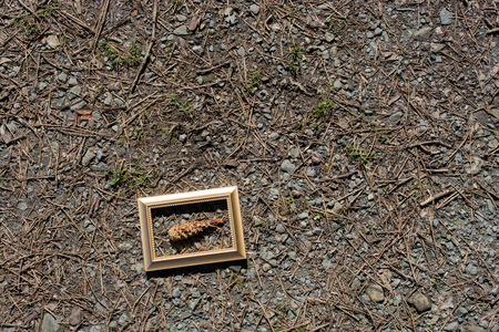 Blank wooden picture  frame on a backgroundの写真素材