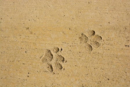 Backdrop and backgrounds  texture details in abstract formの写真素材