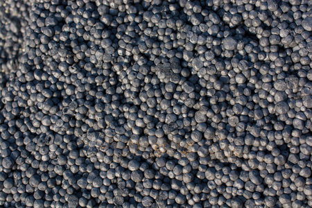 Backdrop and backgrounds  texture details in abstract form