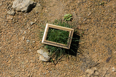 Blank wooden picture  frame on a backgroundの写真素材