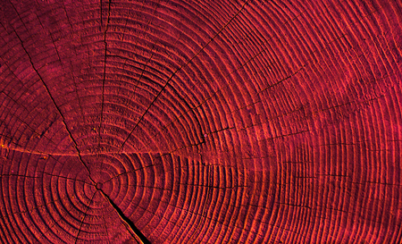 Wood texture with natural patterns as a backgroundの写真素材