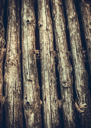 Background with a certain texture patternの写真素材