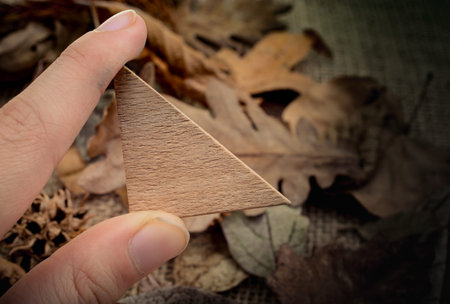 Hand holding wooden triangle over dry leaves