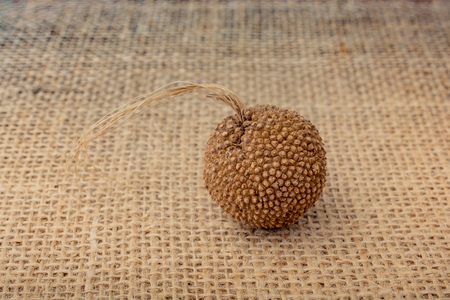 Brown pod or capsule on a linen canvas backgroundの写真素材
