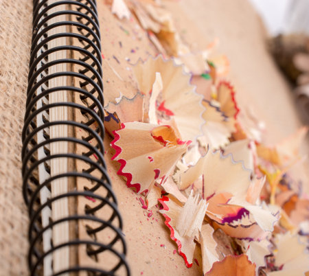 Colorful pencil shavings seen on plain in view