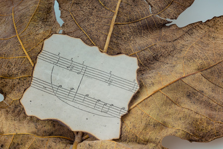 Macro view of a dry leaf with paper with  musical notes of  autumn seasonの写真素材