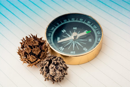 Black compass as  instrument beside a dry pod