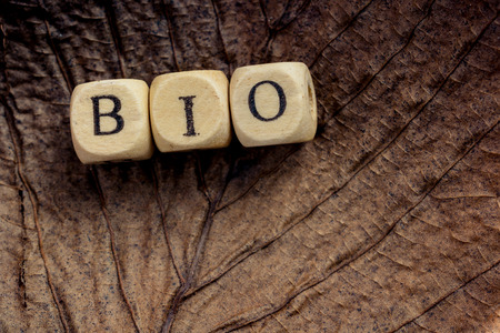 Healthy and lifestyle vegan symbol bio wording on leaf textureの写真素材