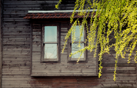 Old window Architecture seen in Istanbulの写真素材