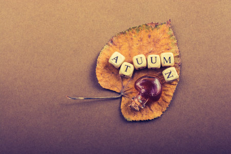 Autumn or  fall composition or concept and word Autumn