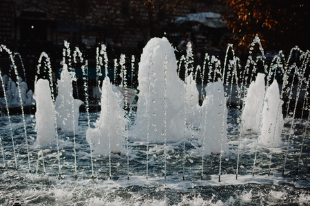 The fountains gushing sparkling water in a pool in a parkの写真素材