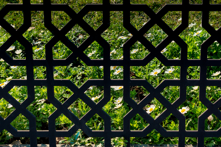Part of decorative metal fence seen in viewの写真素材