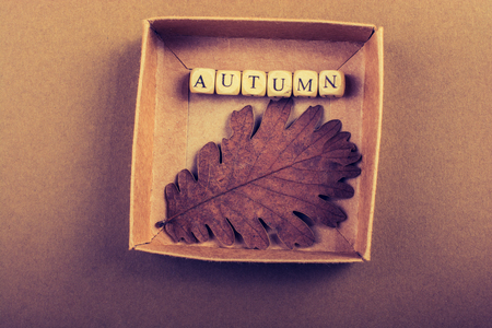 Autumn or  fall composition or concept and word Autumnの写真素材