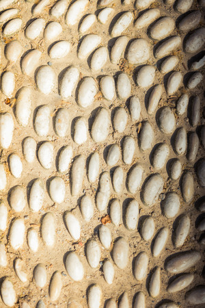 Wall surface as a simple grunge background  texture patternの写真素材