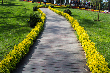 Hiking path for walking in the viewの写真素材