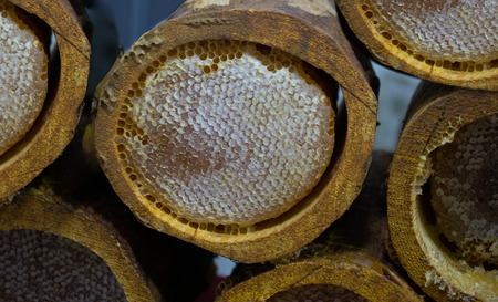 honeycomb from round beehive with sweet honeyの写真素材
