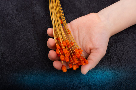 Bunch of dried flower in hand on dark background