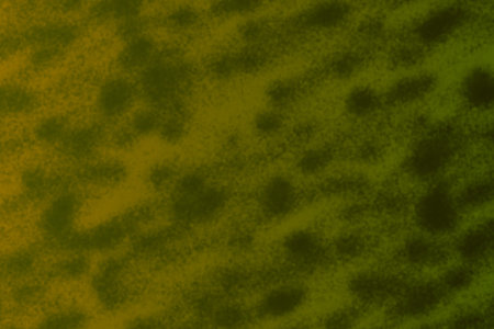 Abstract background with texture  and space for text