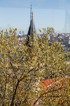 Minaret made of  stone in Ottoman time Mosquesの写真素材